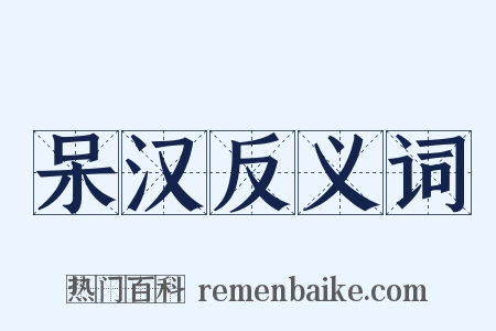 呆汉反义词是什么意思的图片